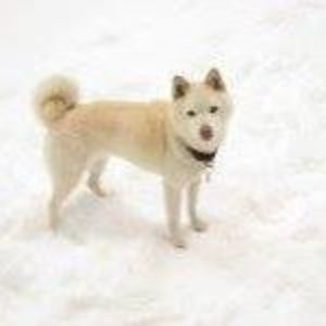 Meet your Posher, Terri